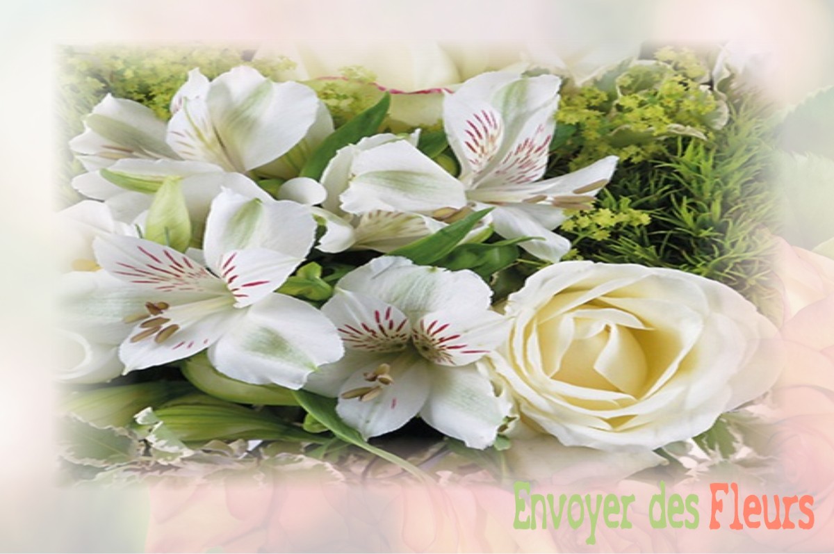 envoyer des fleurs à à MIRABEL-AUX-BARONNIES